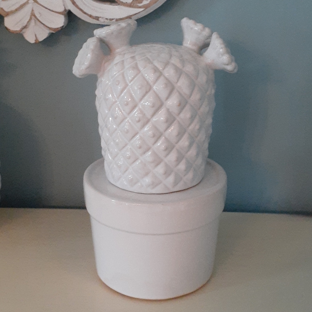* Decorative white ceramic flowering cactus & pot